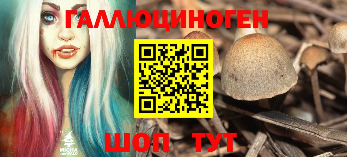 Миллерово  Галлюциногенные грибы GOLDEN TEACHER  цена наркотик  Псилоцибиновые грибы мухоморы  Вход с VPN 