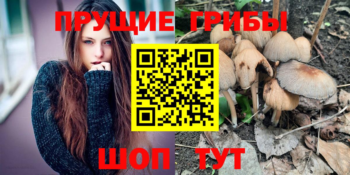 Псилоцибиновые грибы прущие грибы Миллерово