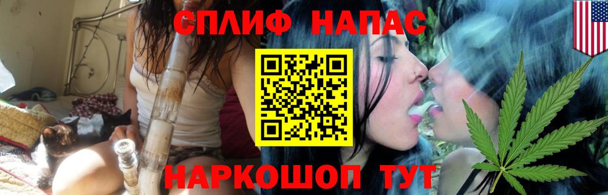 Каннабис индика Миллерово